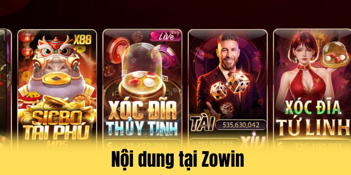 Zowin vẫn luôn nhận được phản hồi tích cực từ chuyên gia